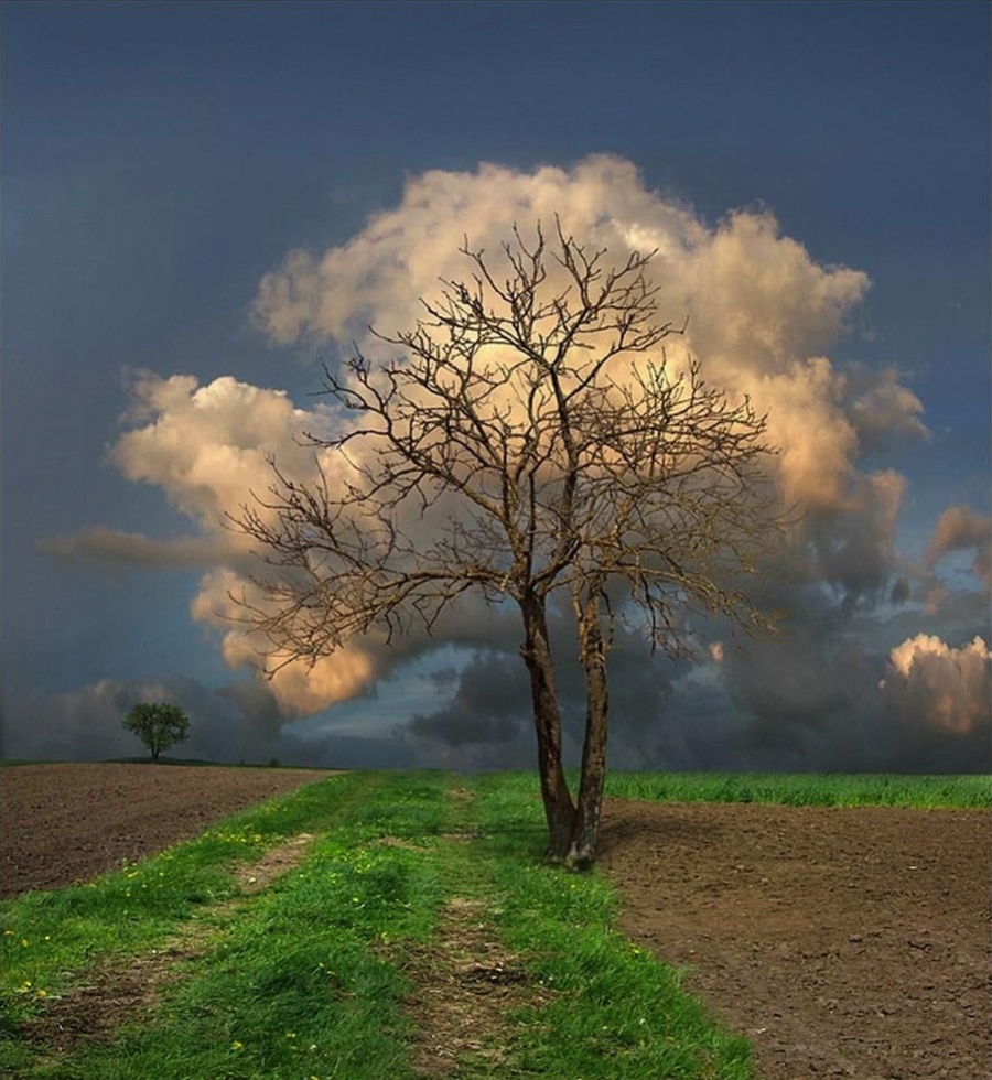 Illustration de l'article : 25 photos you’ll have to look at twice to understand