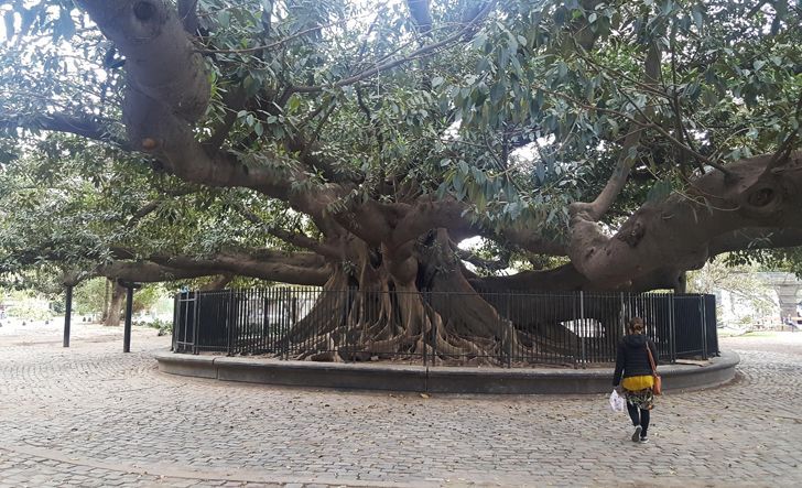 Illustration de l'article : 20 strange sights snapped and shared online