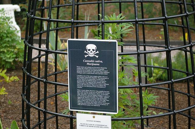 Illustration de l'article : 15 photos of the world's most dangerous garden