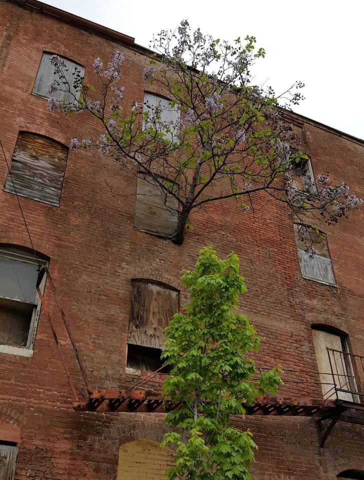 Illustration de l'article : 14 photos that illustrate the power of Mother Nature