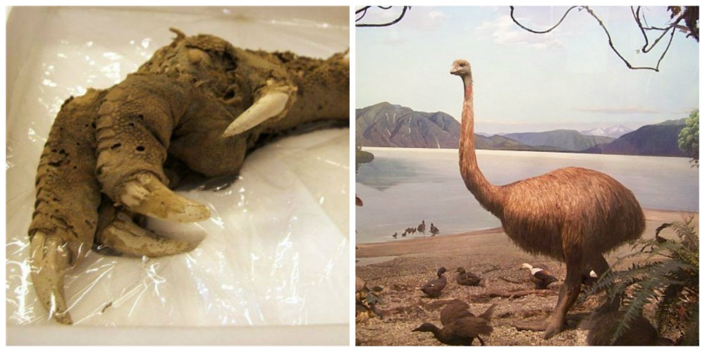 Illustration de l'article : 10 discoveries that have never been explained