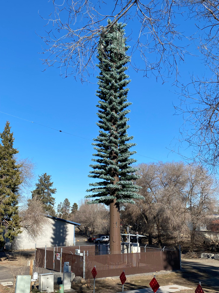 Illustration de l'article : 15 designs that are worth their weight in gold