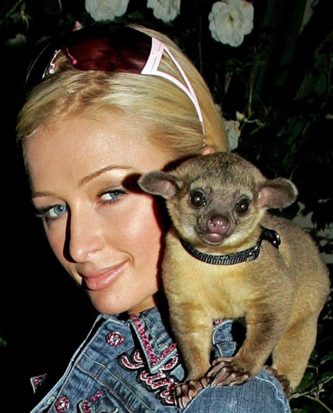 Illustration de l'article : Which of these 12 celebrity pets is the most unusual?