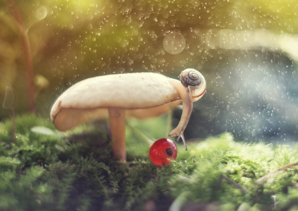 Illustration de l'article : 24 photos that will be hard to forget
