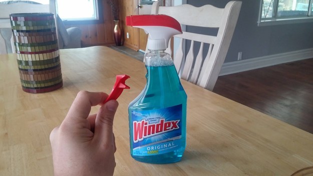 Illustration de l'article : 16 photos that show that life is too unfair