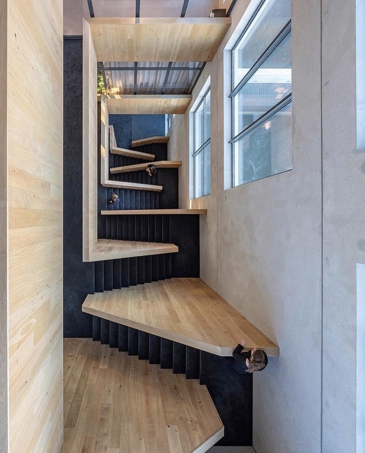 Illustration de l'article : 21 photos that'll take a little time to understand