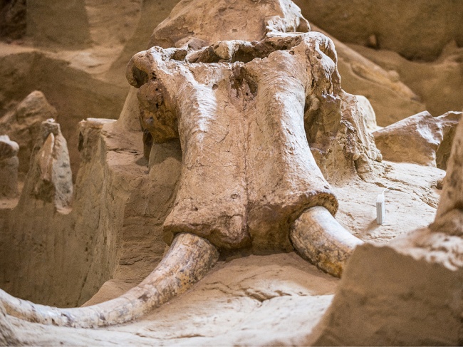 Illustration de l'article : 11 mysteries that scientists still can’t explain