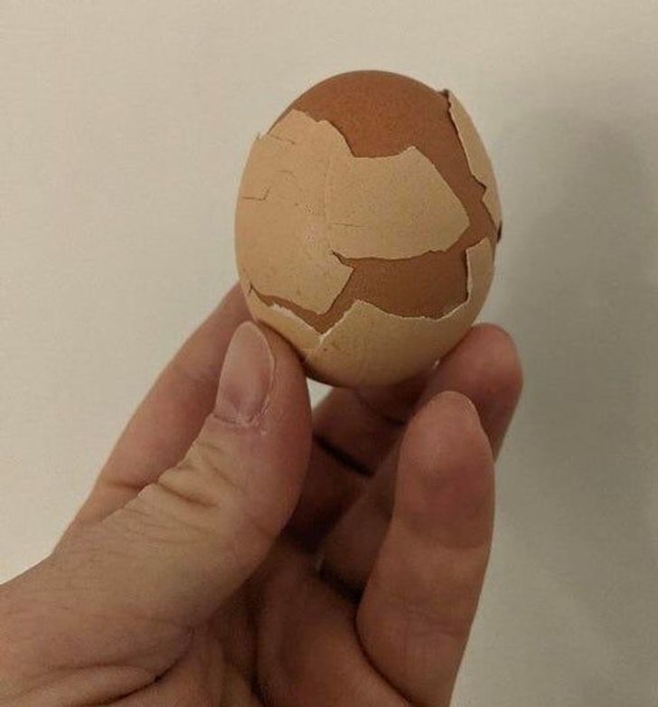 Illustration de l'article : 20 photos that show Mother Nature has a great sense of humor