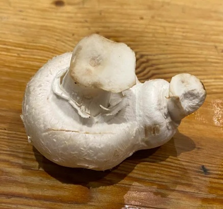 Illustration de l'article : 19 photos of everyday things that will bring a smile to your face