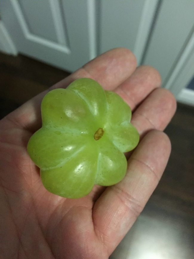 Illustration de l'article : 27 photos where something strange happened with food