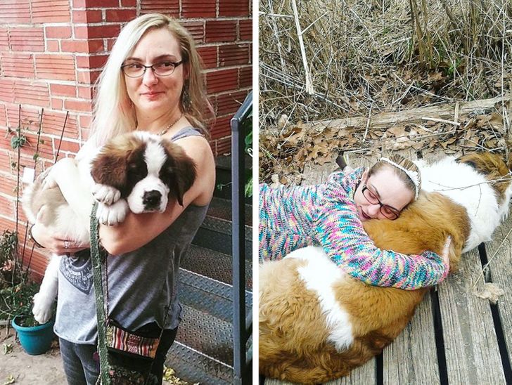 Illustration de l'article : 20 photos of dogs and cats that grew to be bigger than their owners expected