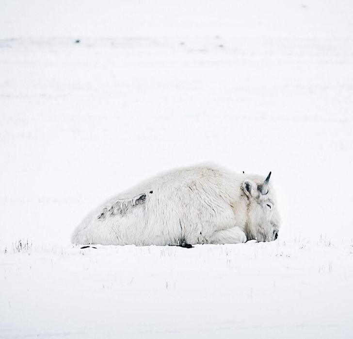 Illustration de l'article : 18 people who were overjoyed by a stroke of good luck