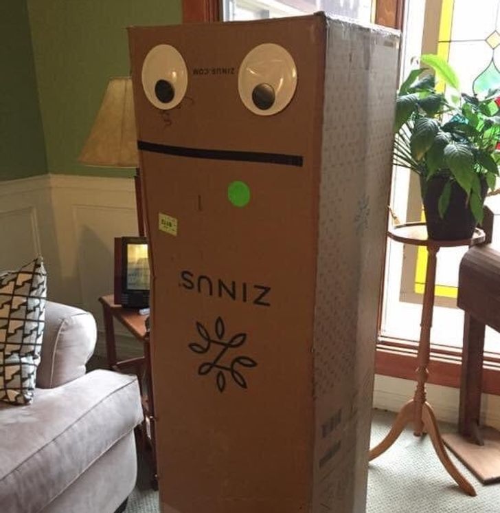 Illustration de l'article : 18 people who found dubious solutions to their problem