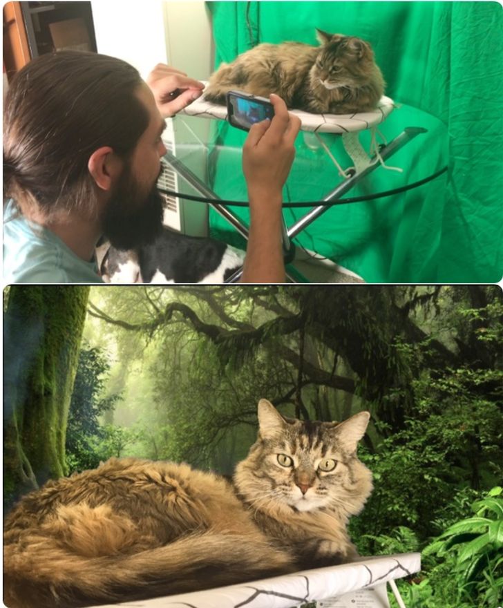 Illustration de l'article : 20 people who love to use their sense of humor