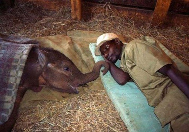 Illustration de l'article : 17 moving photos that will touch your heart