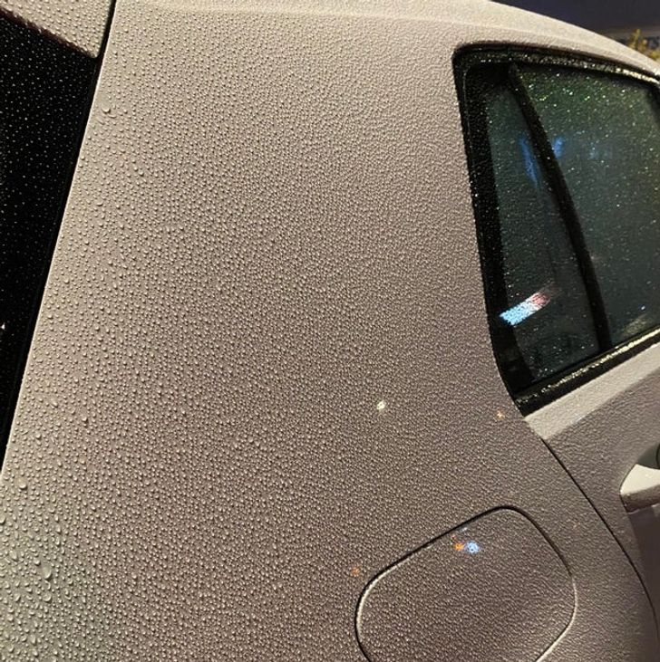 Illustration de l'article : 19 photos that will soothe the fussiest of people