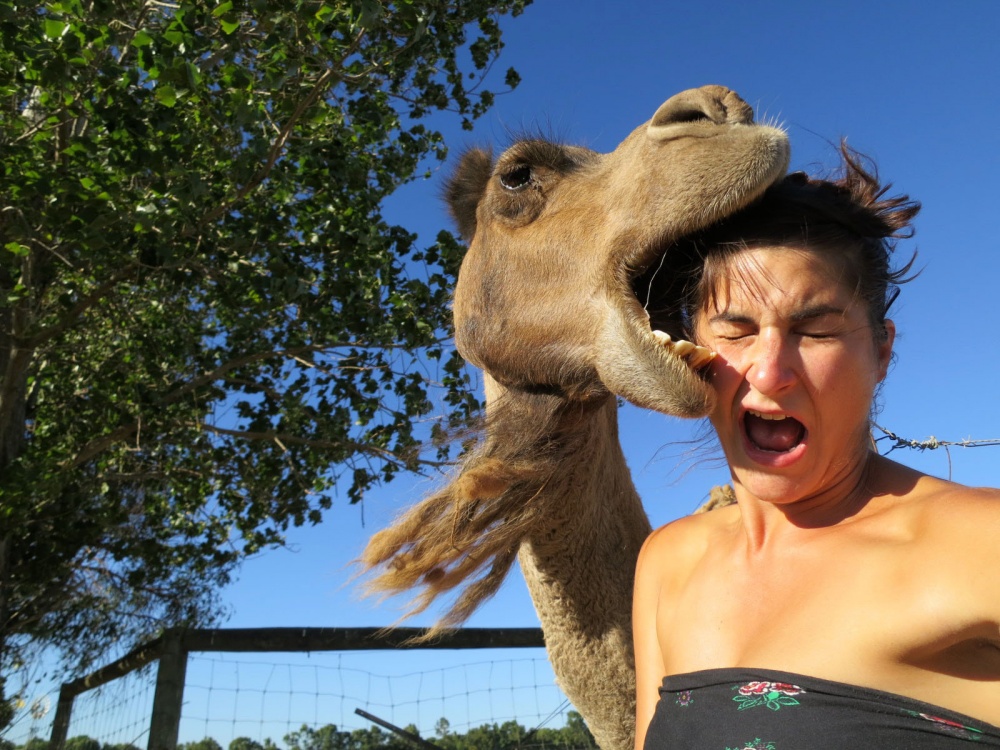 Illustration de l'article : 21 unlikely photos taken just before a catastrophe!