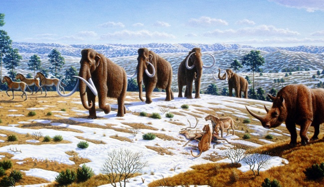 Illustration de l'article : 11 mysteries that scientists still can’t explain