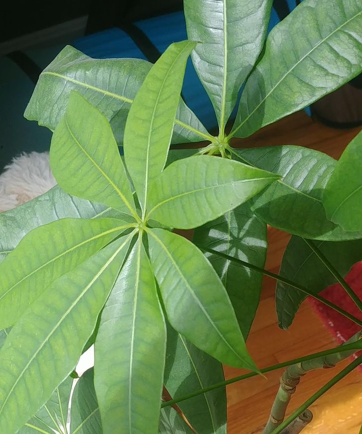 Illustration de l'article : 17 times Mother Nature showed off her works of art