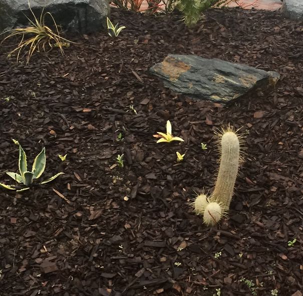 Illustration de l'article : 13 hilarious women that all men secretly want to marry