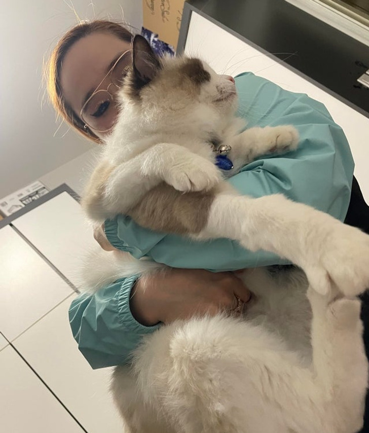 Illustration de l'article : 20 photos that will make you look twice