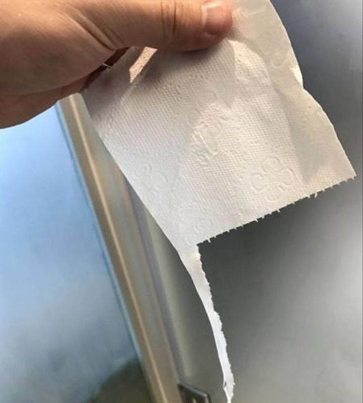 Illustration de l'article : 13 truly exasperating situations caught on camera