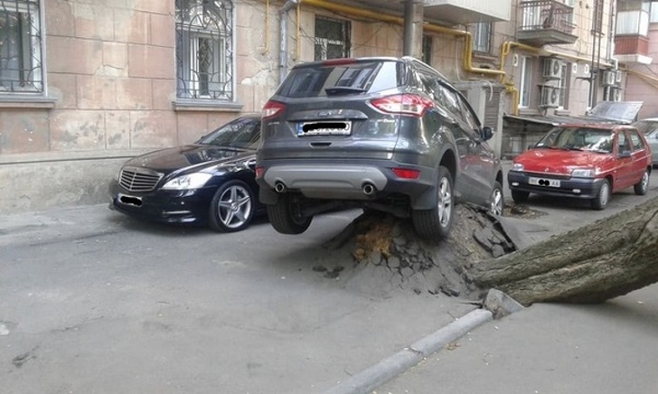 Illustration de l'article : 25 people who certainly had a day to remember