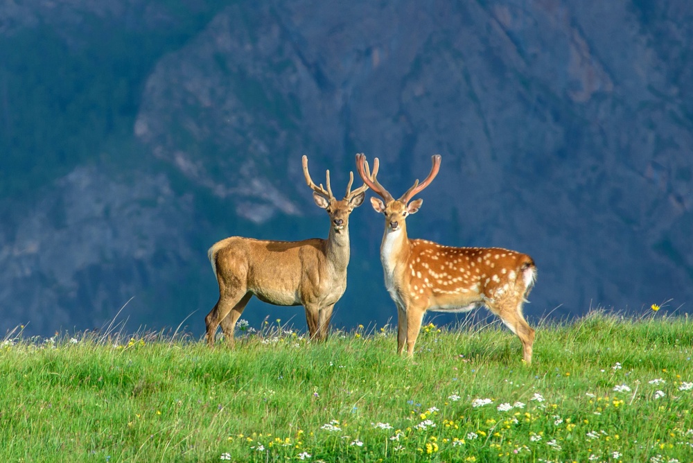 Illustration de l'article : 16 captivating images of the most fascinating natural wonders in the world