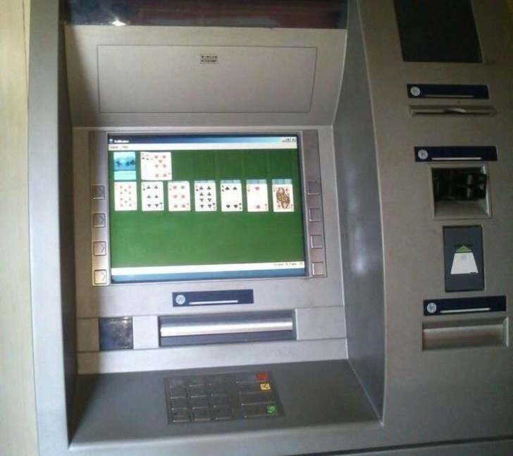 Illustration de l'article : 19 crazy sights caught on camera