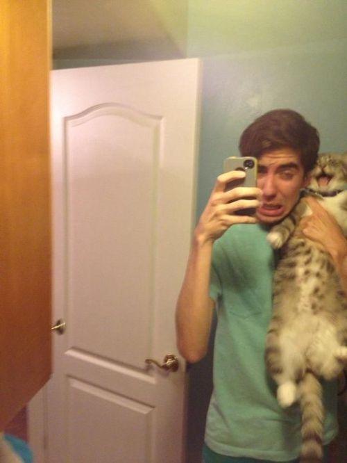 Illustration de l'article : 18 problems that anyone who has a cat experiences everyday