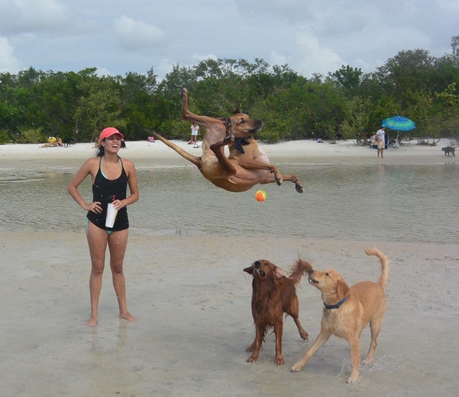 Illustration de l'article : 32 awesome perfectly-timed photos