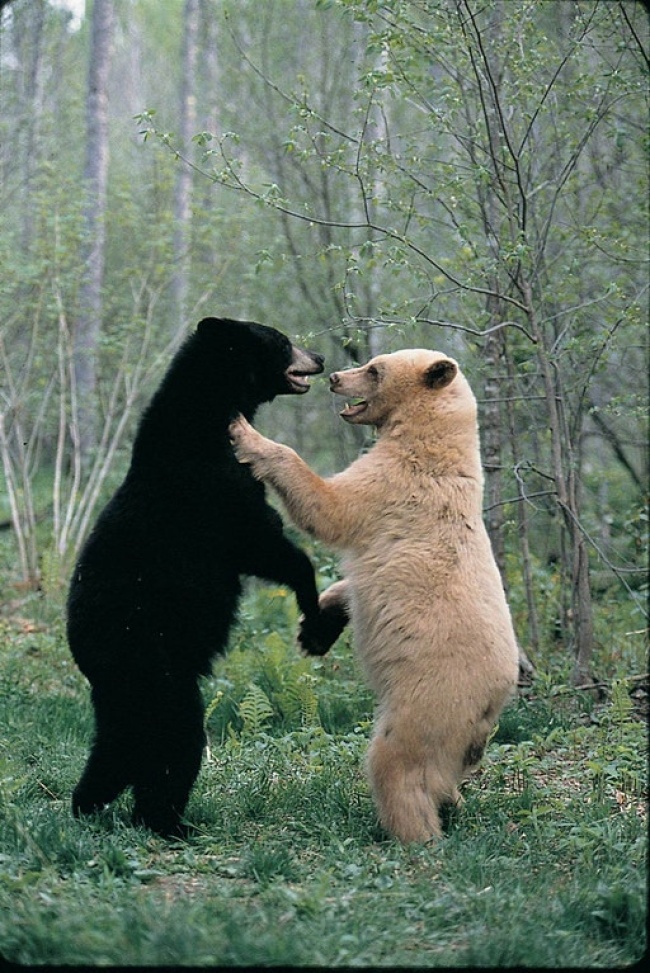 Illustration de l'article : 32 awesome perfectly-timed photos