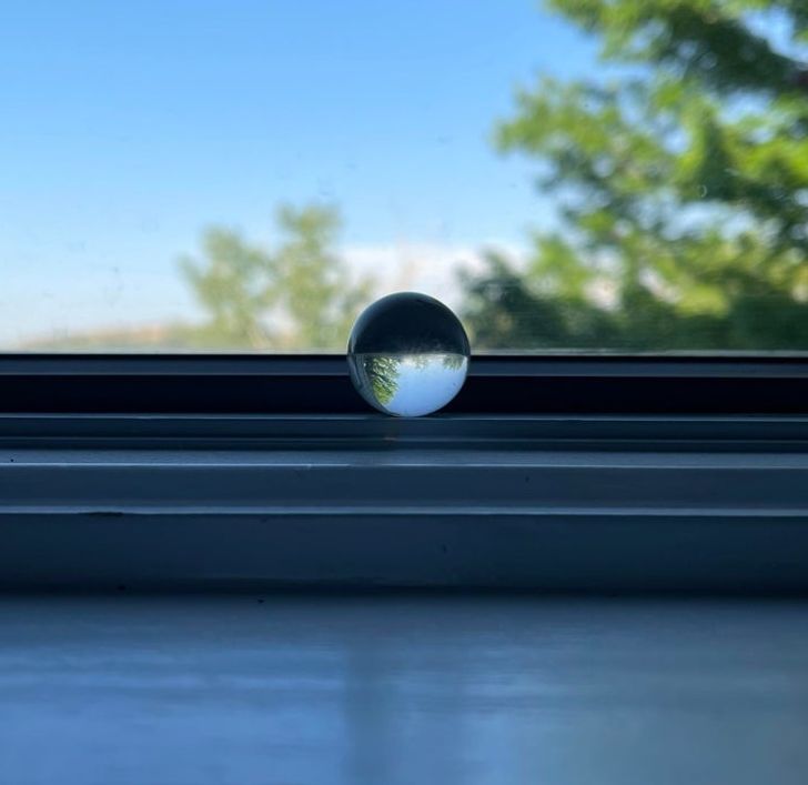 Illustration de l'article : 19 photos that illustrate the beauty of nature