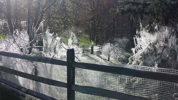 Illustration de l'article : 30 residents who decided to spice up their neighborhood
