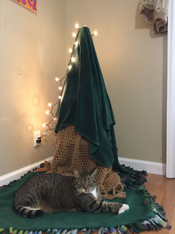 Illustration de l'article : 20 genius ways to stop your pet from destroying your Christmas tree!