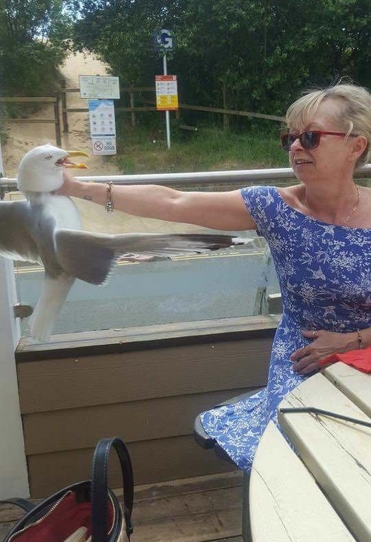 Illustration de l'article : 19 pictures that show life can be cruel (but funny!)