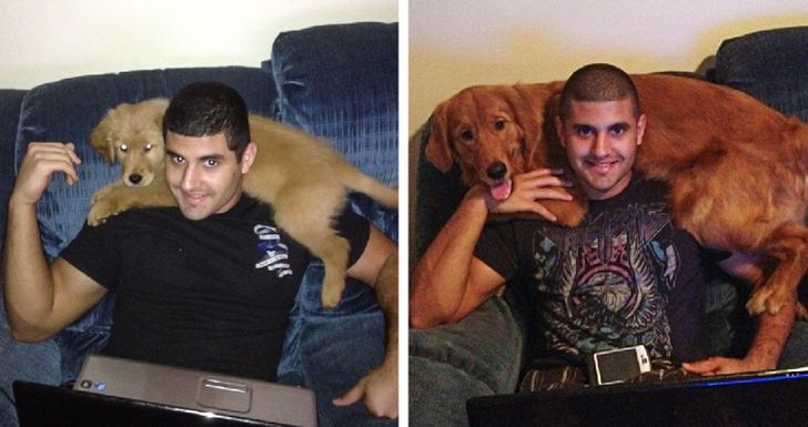 Illustration de l'article : 20 photos of dogs and cats that grew to be bigger than their owners expected