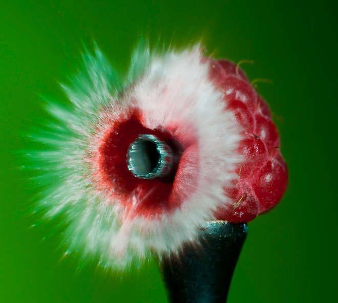 Illustration de l'article : 12 pictures of everyday objects that were taken during a bullet impact!