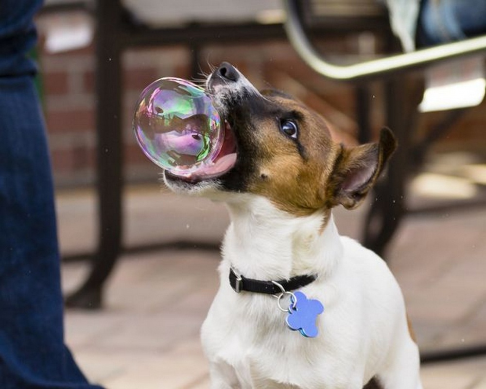 Illustration de l'article : 21 unlikely photos taken just before a catastrophe!