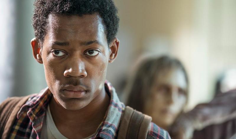 Illustration de l'article : Whatever happened to some of the actors from “The Walking Dead”?