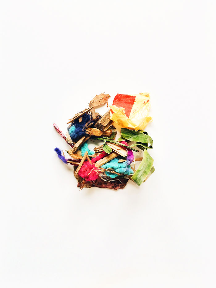 Illustration de l'article : Every day, this mom photographs what she finds in her preschool son’s pockets