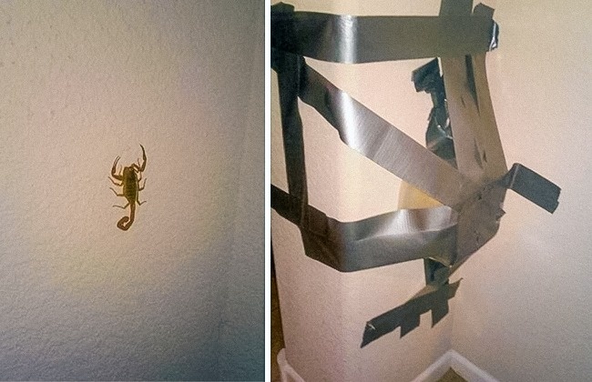 Illustration de l'article : 24 people who refused to be beaten by life's little hiccups