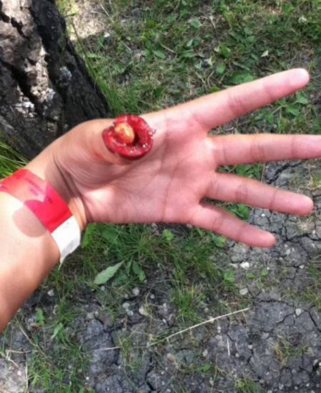 Illustration de l'article : 16 freaky photos guaranteed to blow your mind