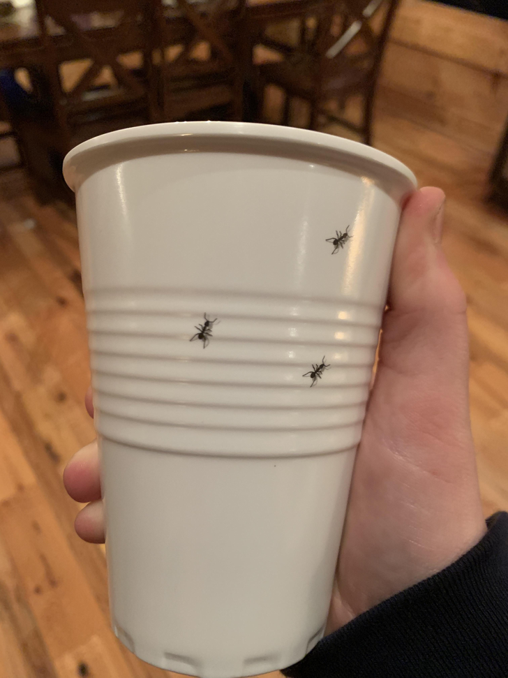 Illustration de l'article : 20 photos of out-of-the-ordinary designs and ideas