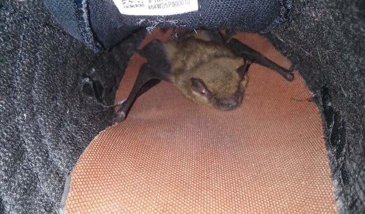 Illustration de l'article : 17 mornings that announced the start to a complicated day