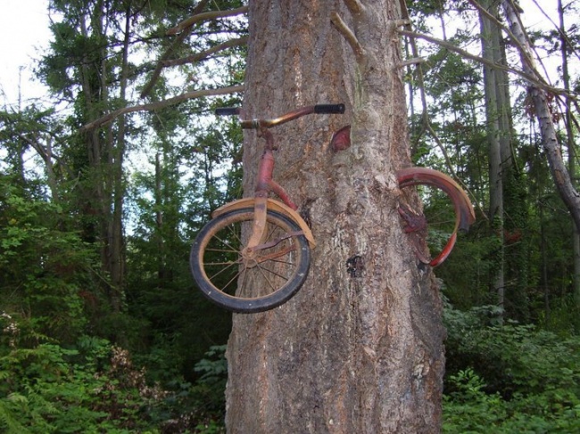 Illustration de l'article : 27 photos that will totally mess with your brain