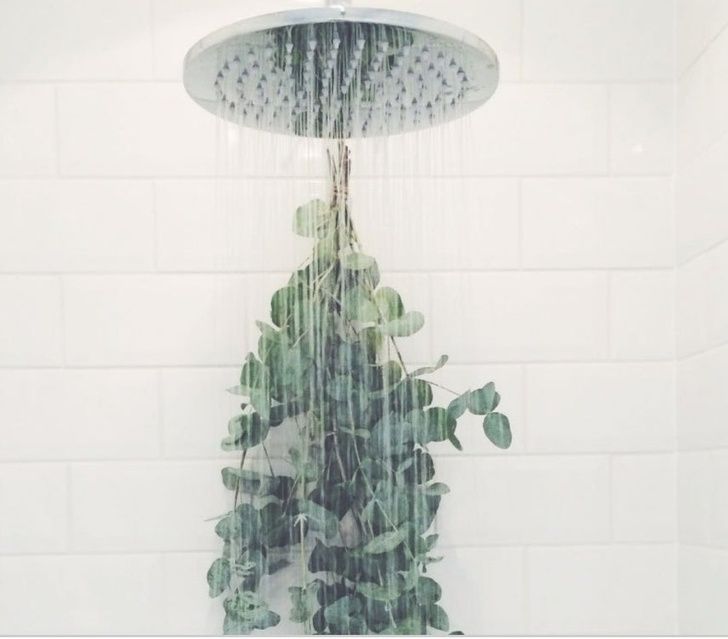 Illustration de l'article : 20 clever everyday life hacks