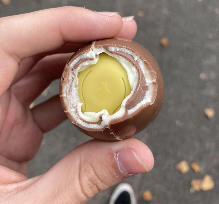 Illustration de l'article : 19 people who snapped and shared their pleasant surprise!