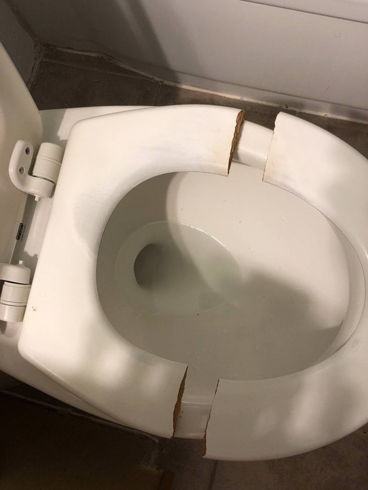 Illustration de l'article : 19 pictures that show life can be cruel (but funny!)