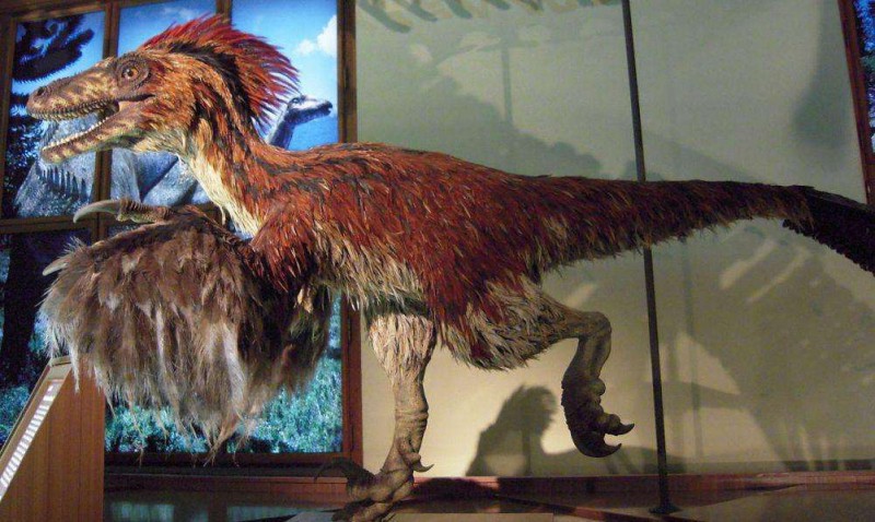 Illustration de l'article : 14 little-known facts that will make you love the Jurassic Park movies even more